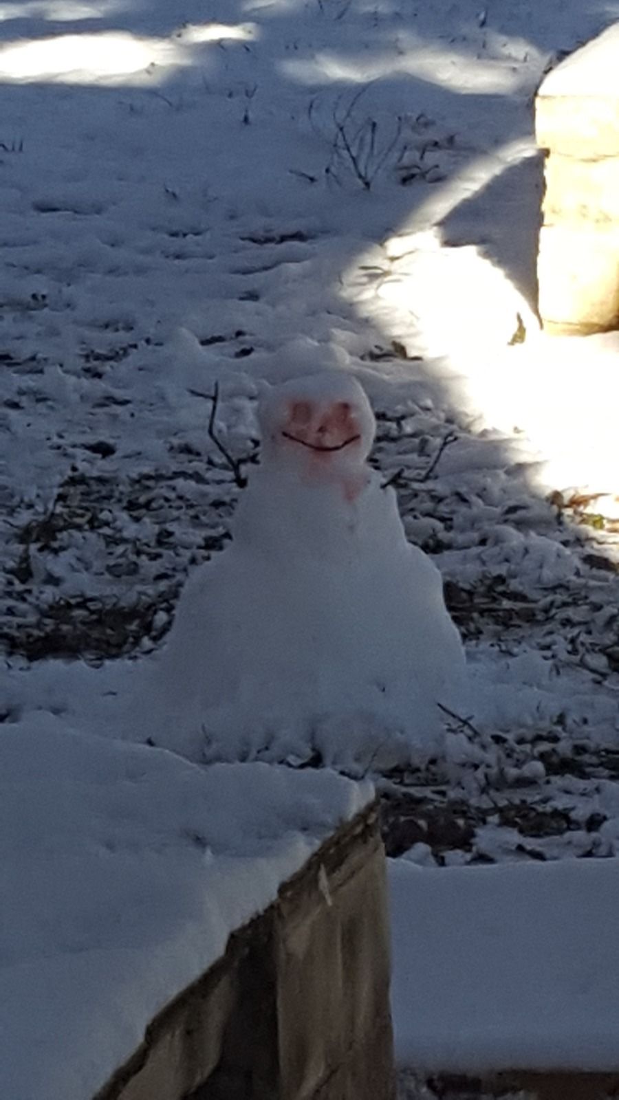 My sister built a snowman using peppermints for the eyes. This is what her husband saw out the window the next morning.