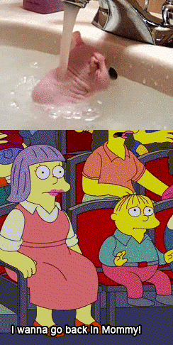 Taking a Sunday shower.. wait what?!