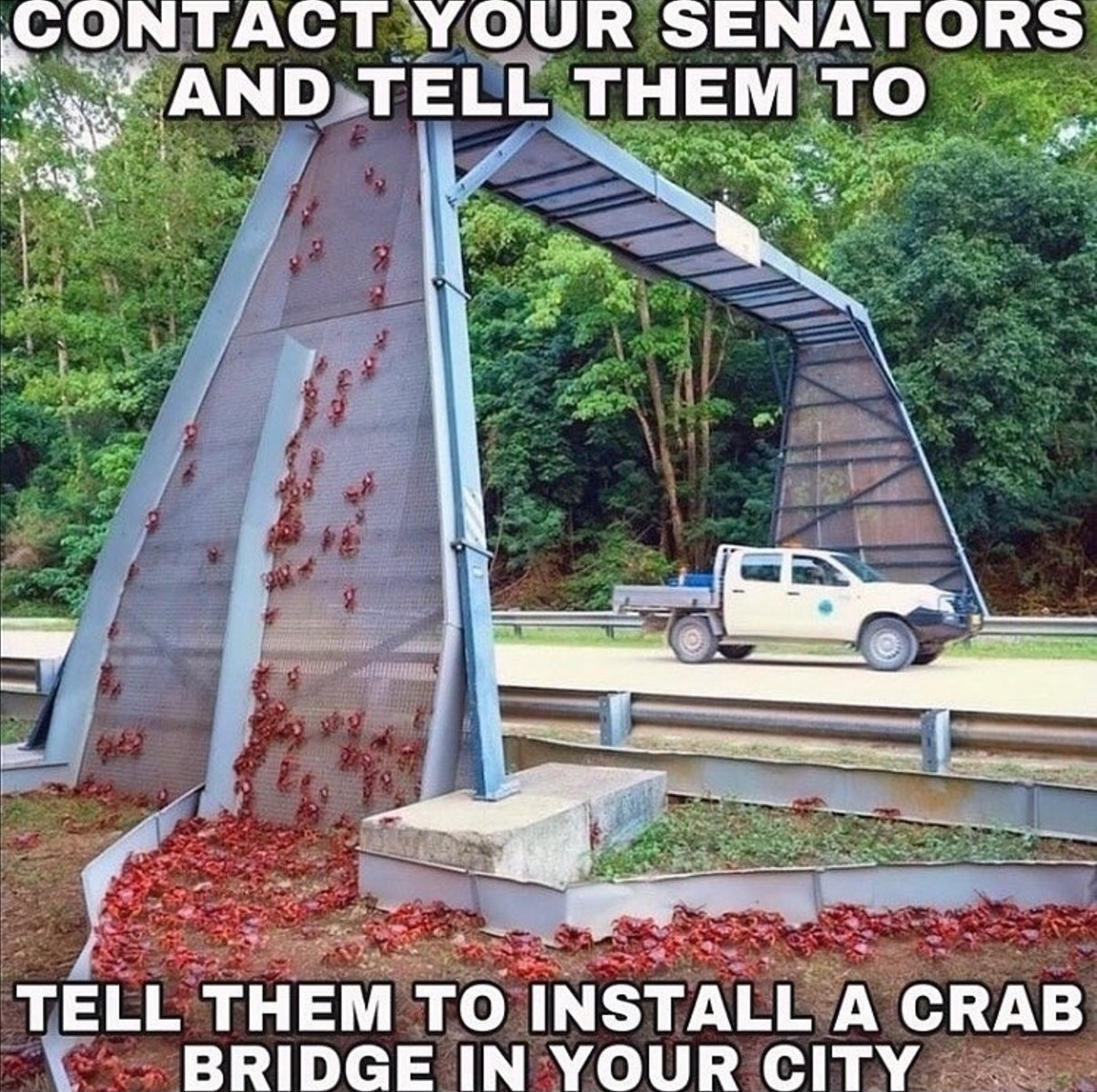 We must complete the crab cycle