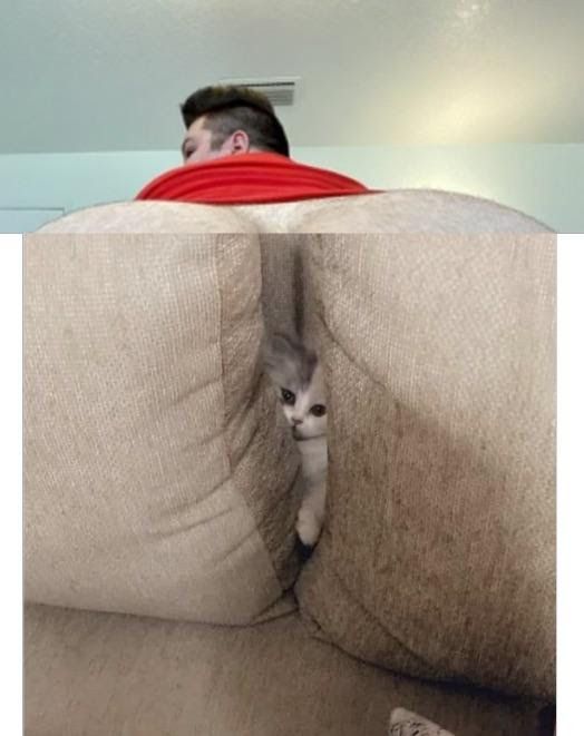 better than the real one believe me
