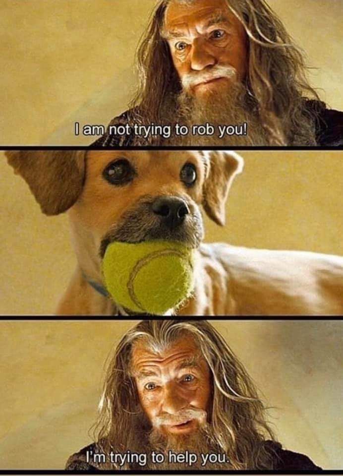 A wholesome meme, my good deed for the day