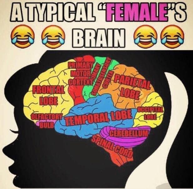 HAHAHAHA it REALLY is like ThIS!½