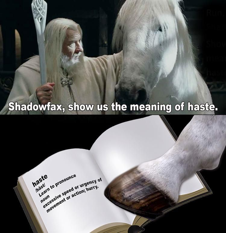 smh Shadowfax i ride the ShadowEMAIL