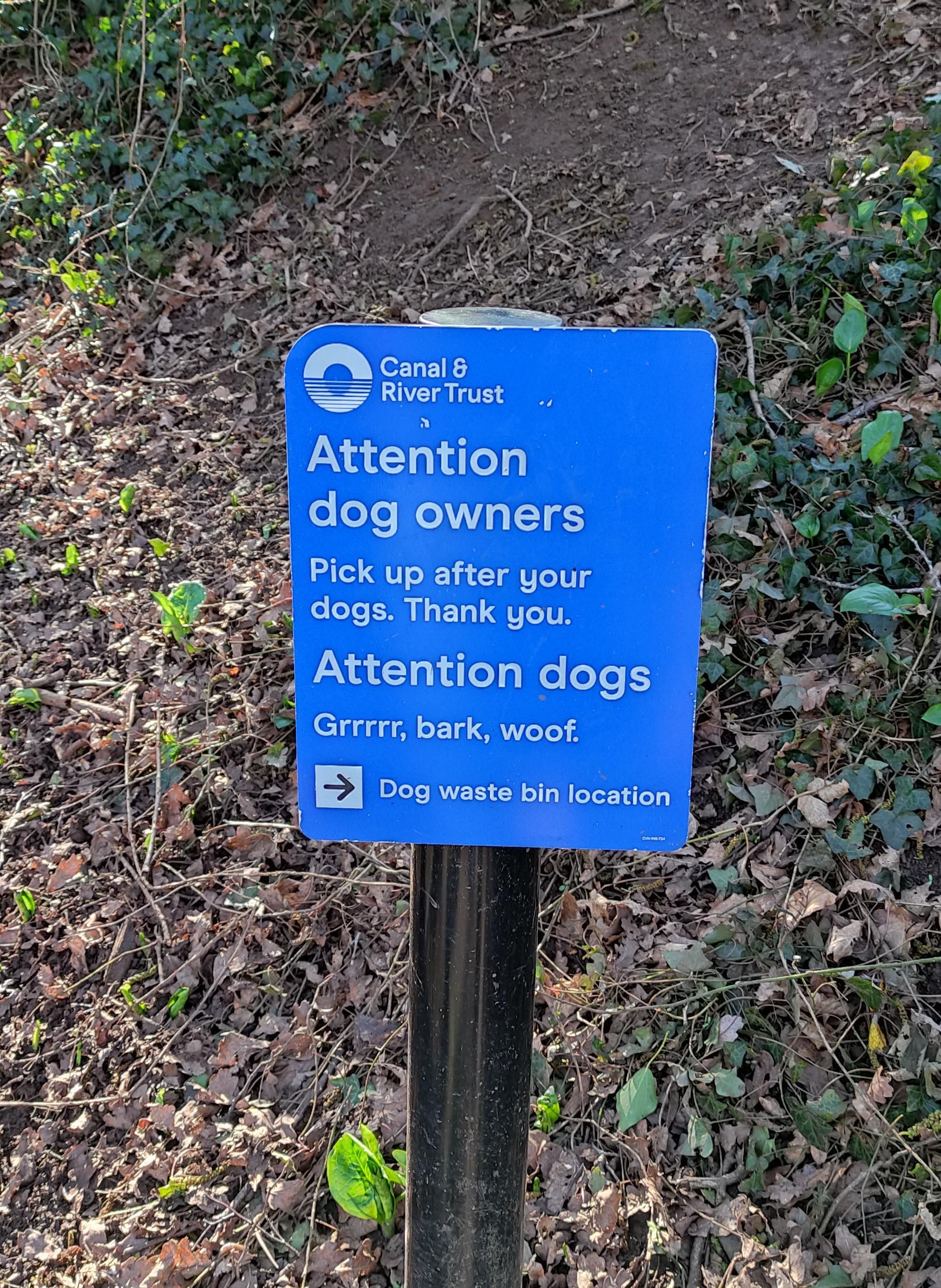 This post is for dogs only