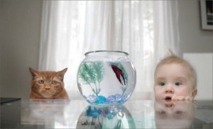 I go this way...you go that way...got it cat..?