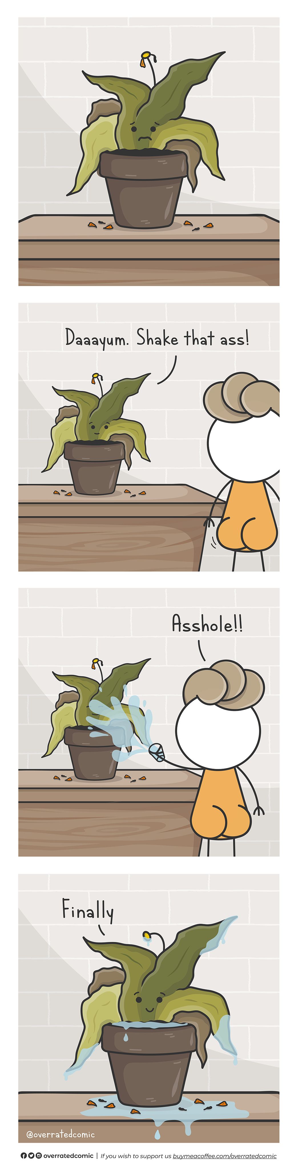 That's one thirsty plant