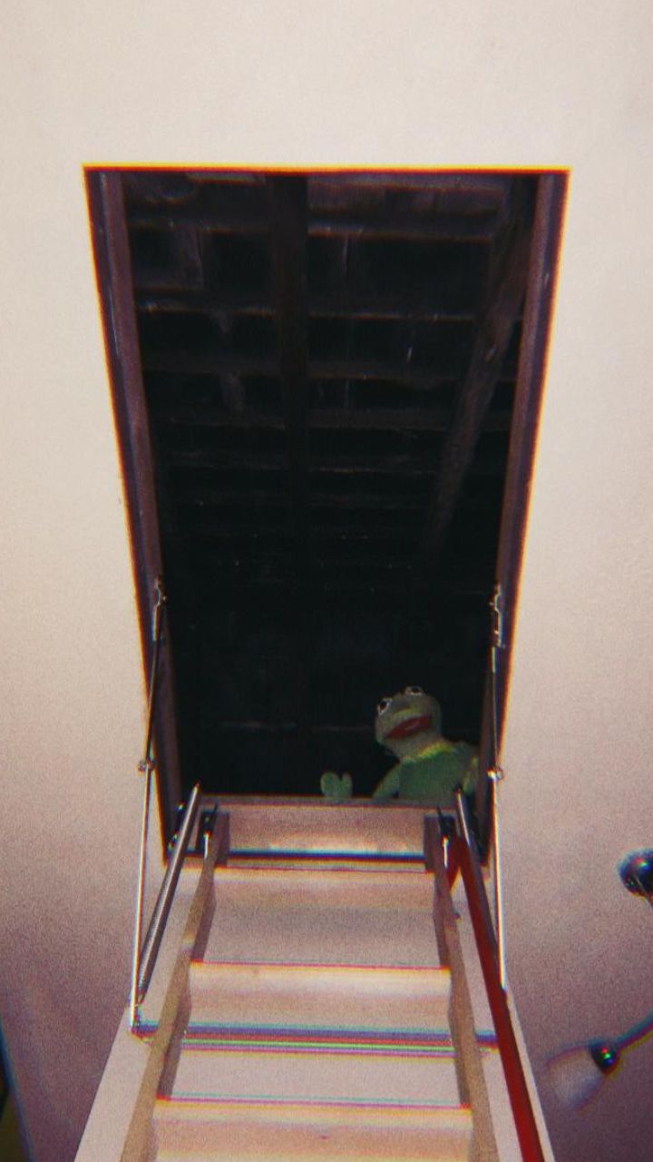 My partner is putting her Kermit puppet to good use.
