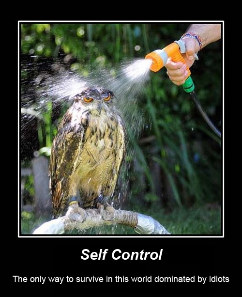 Must. not. kill. human.