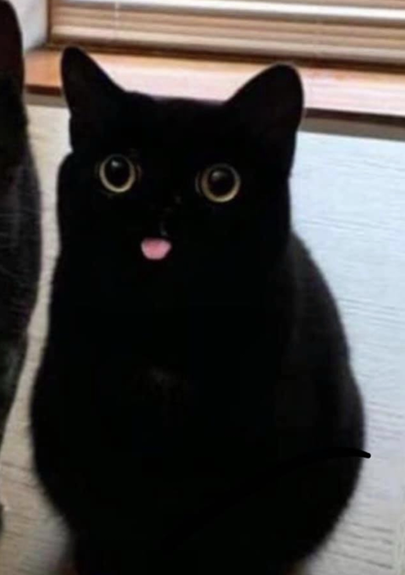 chonky void mlep