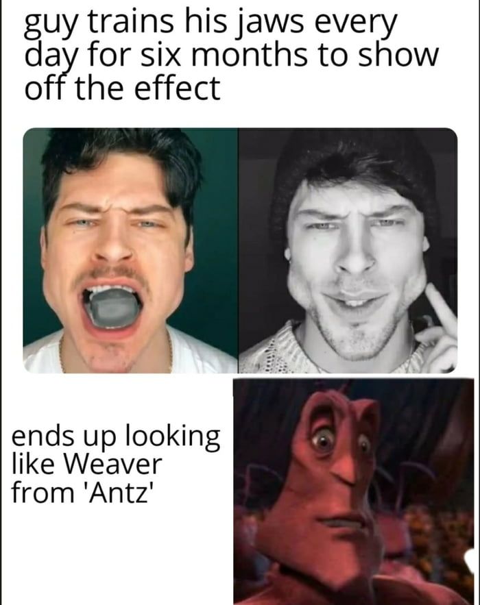 antz man