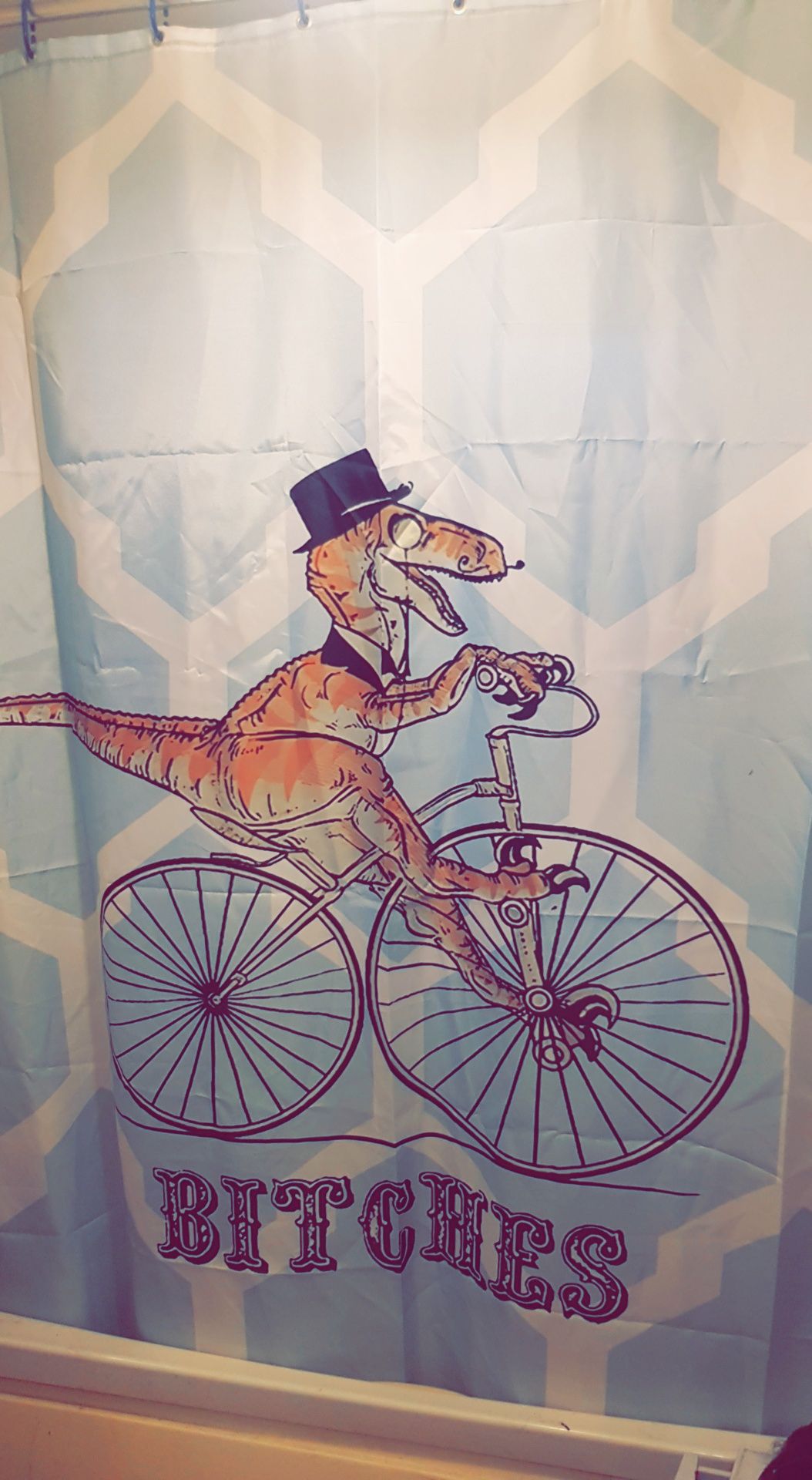 Told my husband to buy a new Shower Curtain. He did not disappoint.