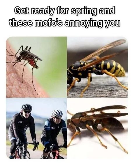 Annoying