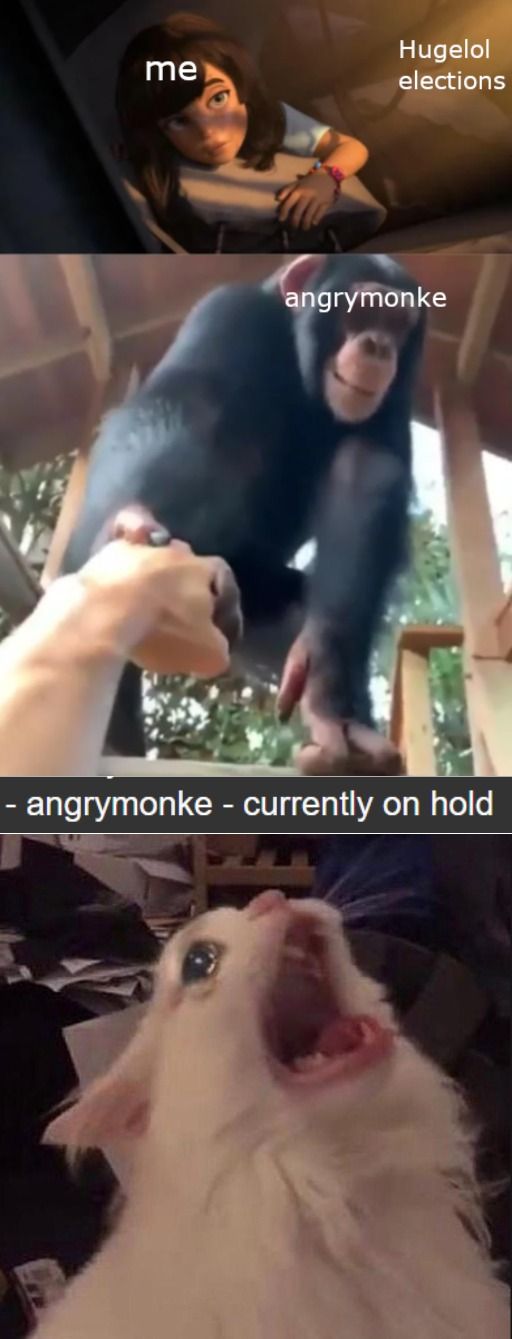will the real monke please stand up?