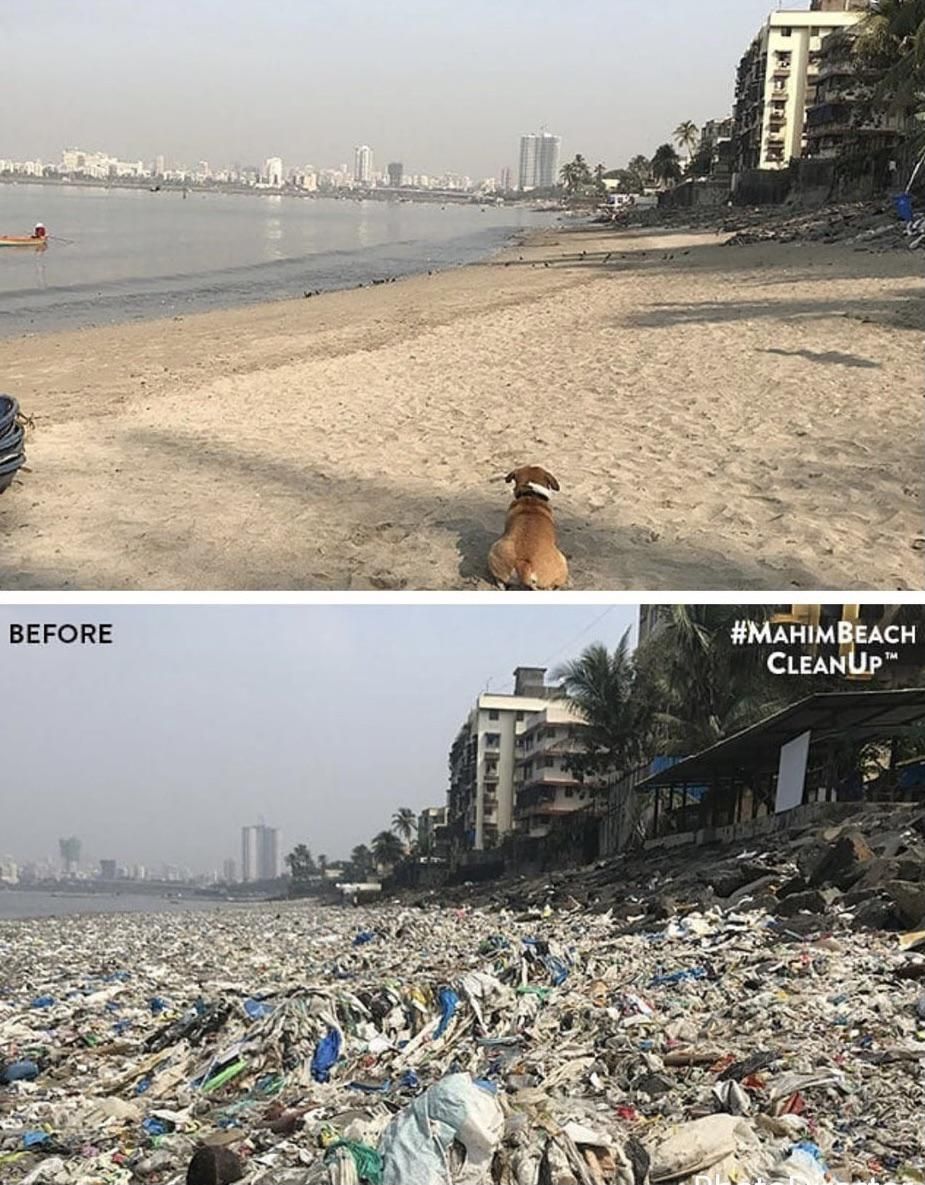 In 46 weeks, over 650 tonnes of plastic and debris were cleared from Mahim Beach in Mumbai, India. It all started with two people.