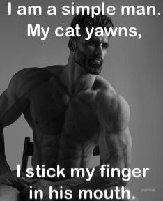 I'm a simple man