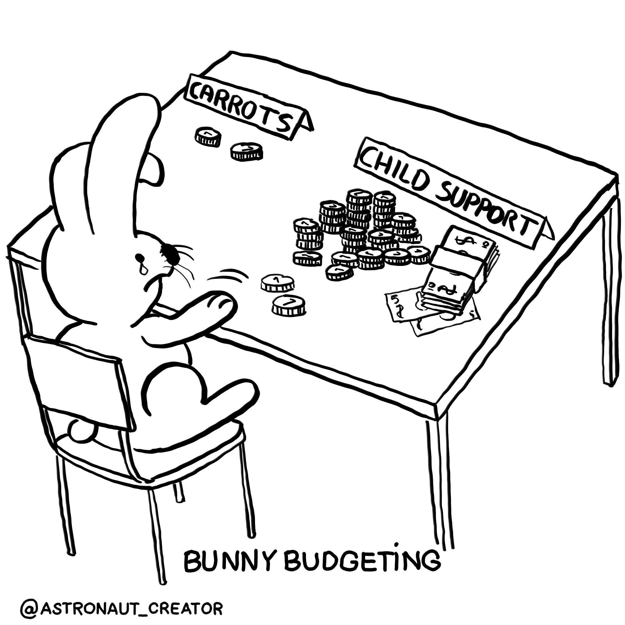 Bunny budgeting