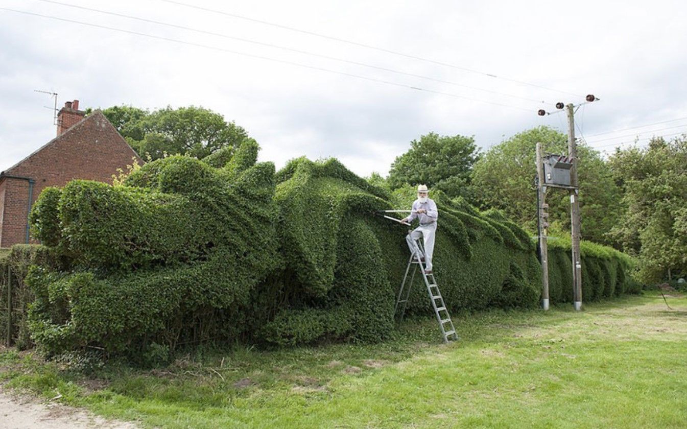 John Brooker of Norfolk, UK, spent 13 years turning his 150-Ft-long hedge into a giant dragon.