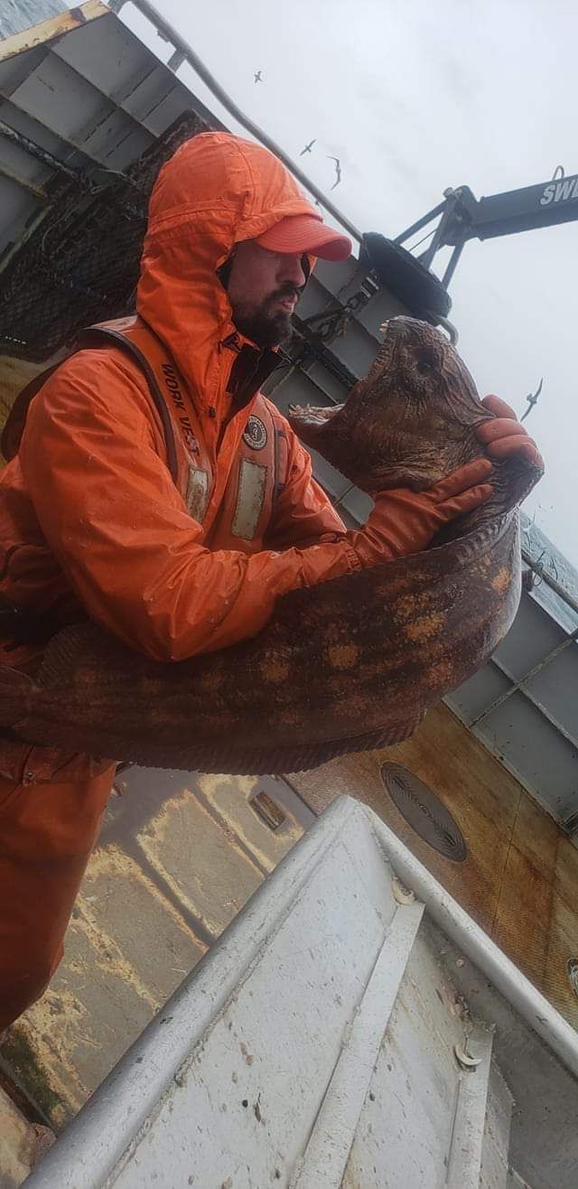 A fisherman with a wolf eel.