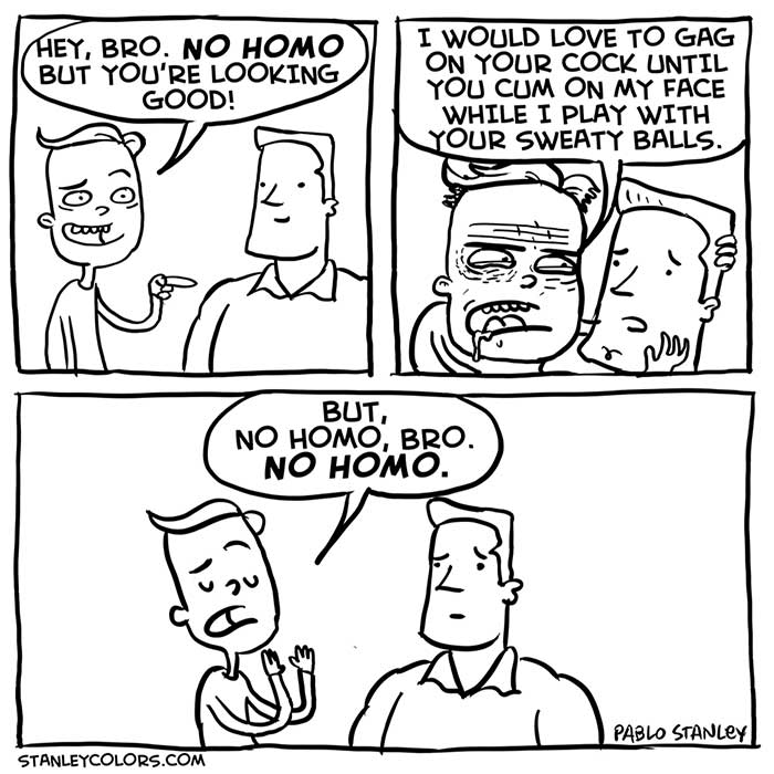 No Homo bro, no homo
