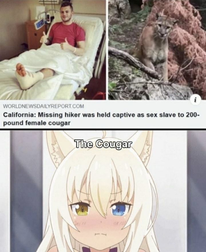 Cougar stronk