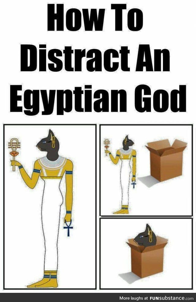 In case you find yourself in the presence of an Egyptian goddess, always carry a box.