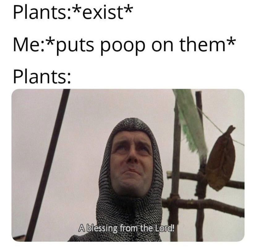 Thank me later, plants