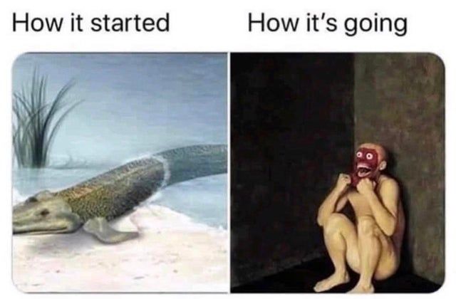 evolution was a mistake