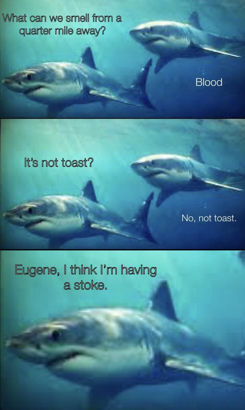 Eugene do something