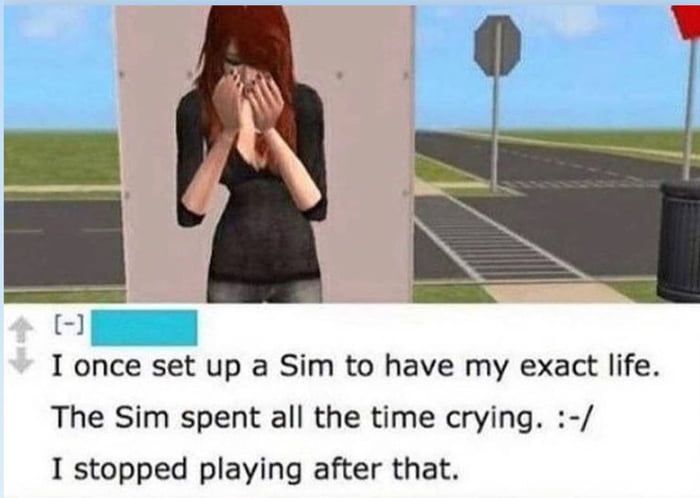 sims is too realistic