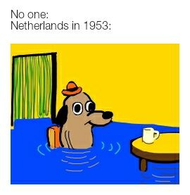 Making a meme of every country's history day 31: Netherlands