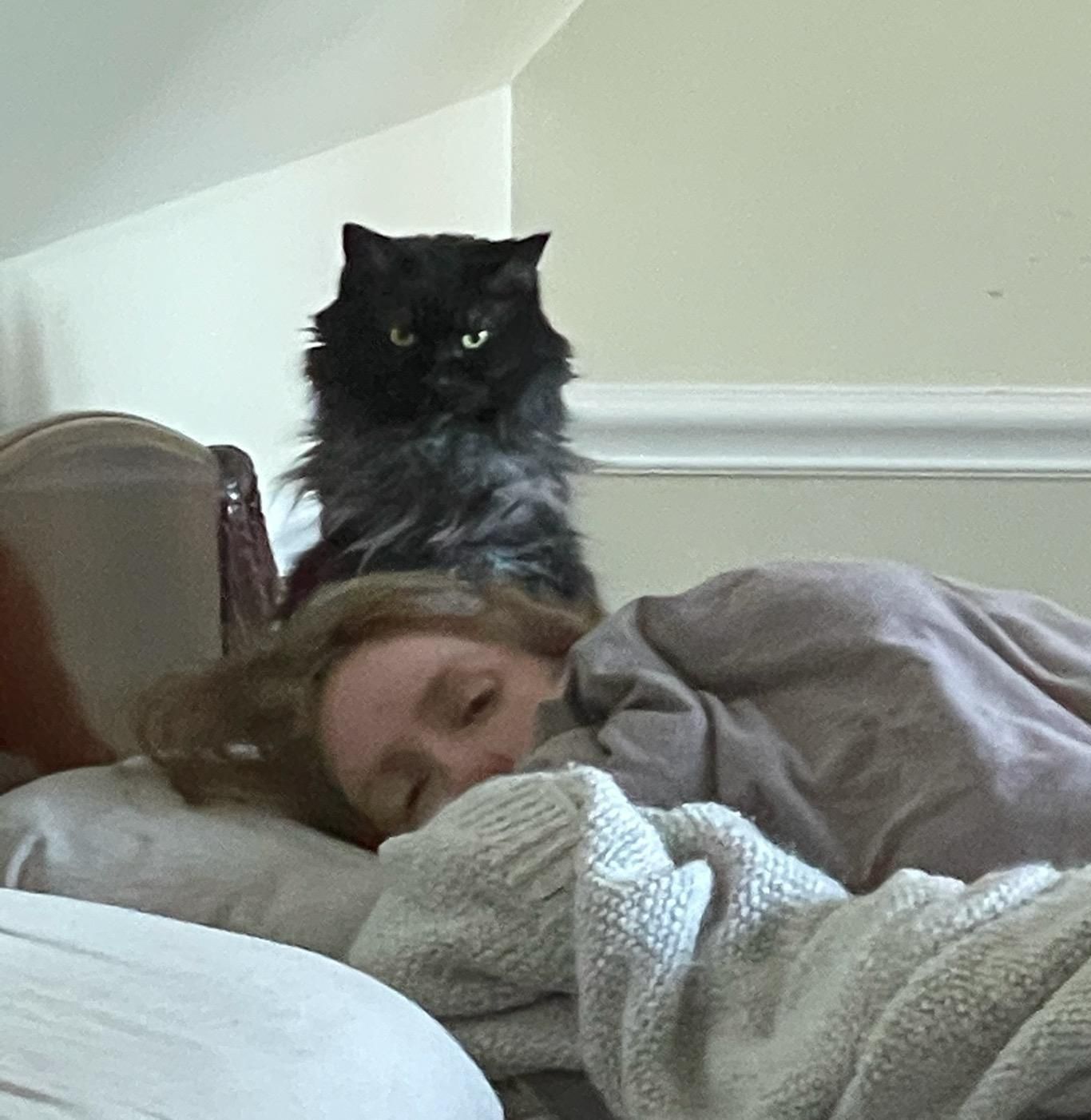 Husband caught our cat hovering over my sleeping body...please excuse my face I didn't know what was happening.