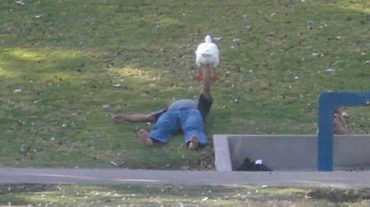 Just a homeless guy bench pressing a goose...