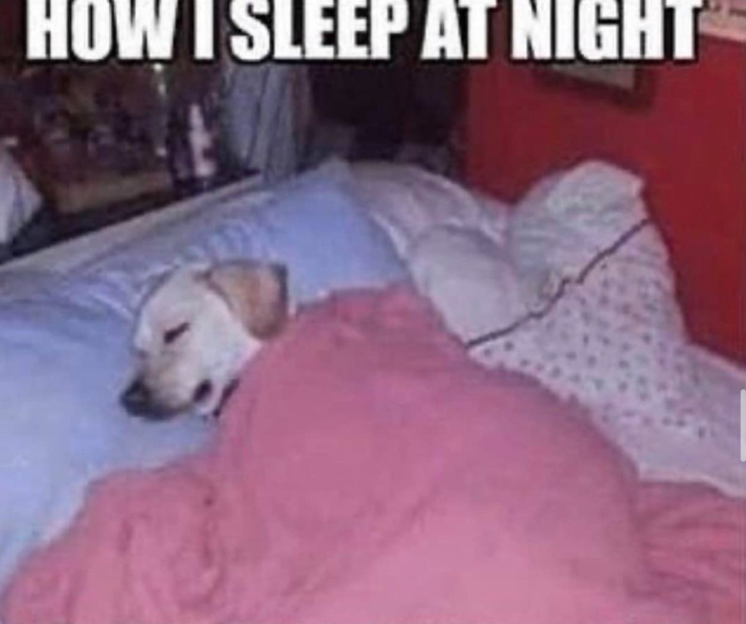 It's a good meme, please upvote it.