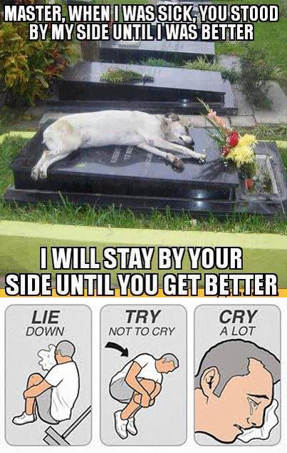 I dont even :(