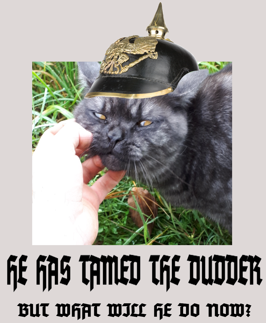 Der Kater.