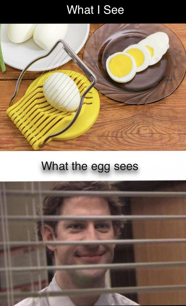 Just cutting a tasty egg