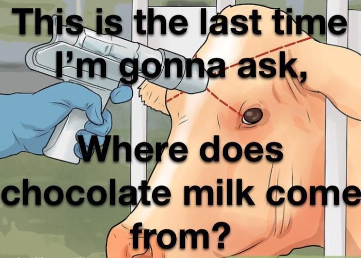 we know ur hiding the brown cows