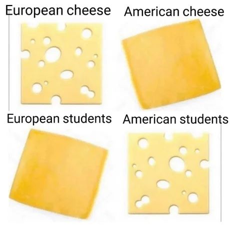 Sweet dreams are made of cheese, who am i to diss a brie?