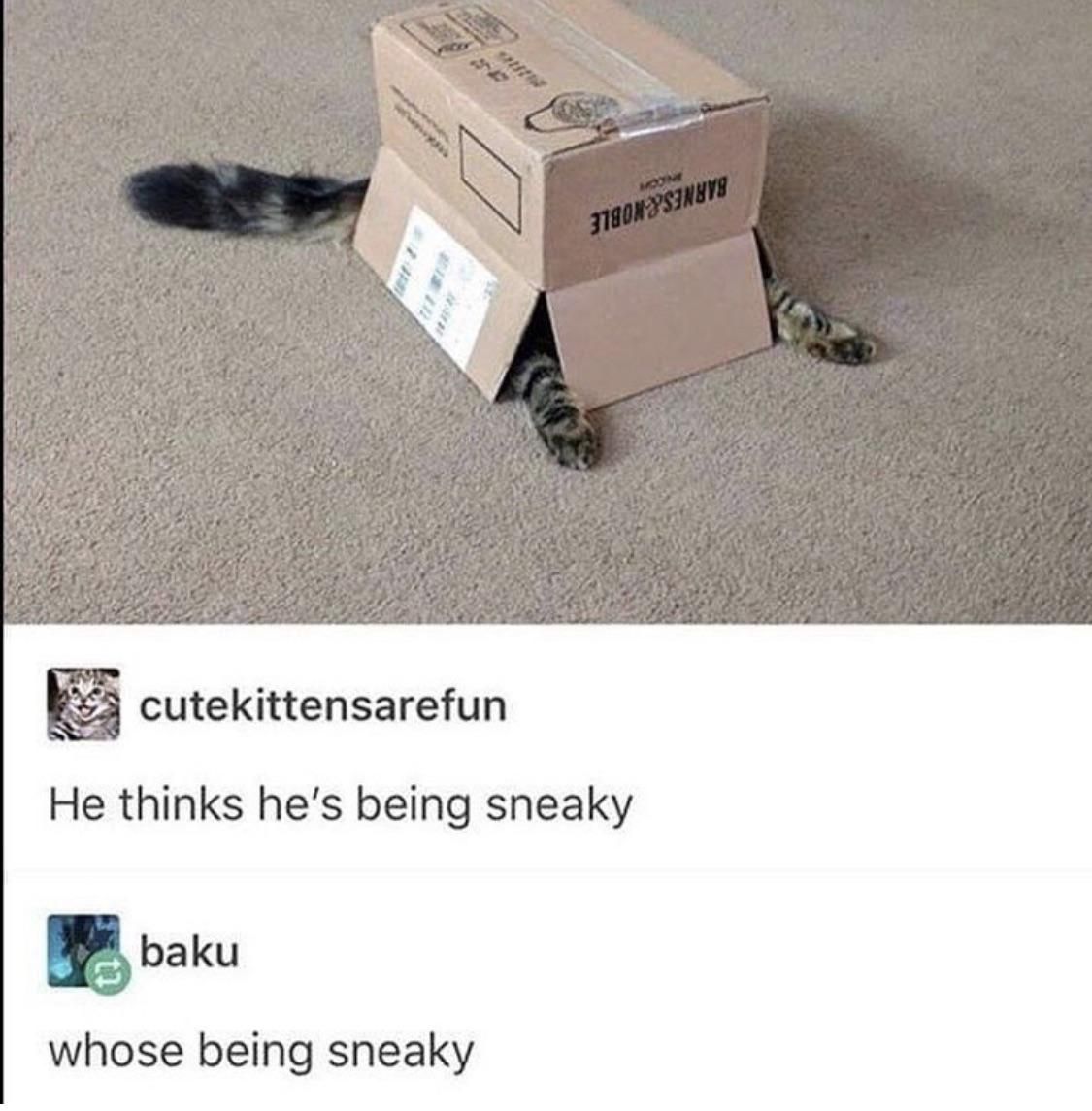 There’s just a box