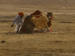 &quot;Here have some instant karma, DICK!&quot; -Camel