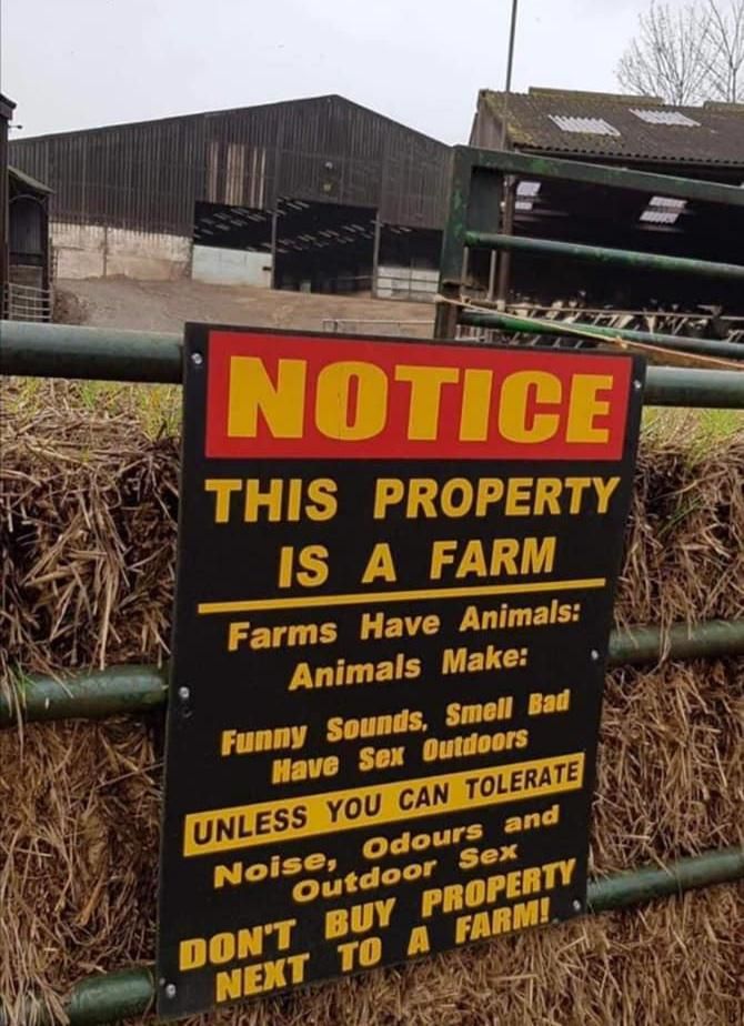 The main reasons you don't buy a house next to a farm.