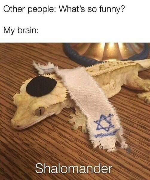wholesome-semitism