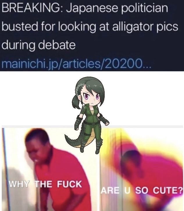 WHY