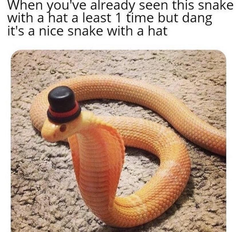 snake wit da hat? :o