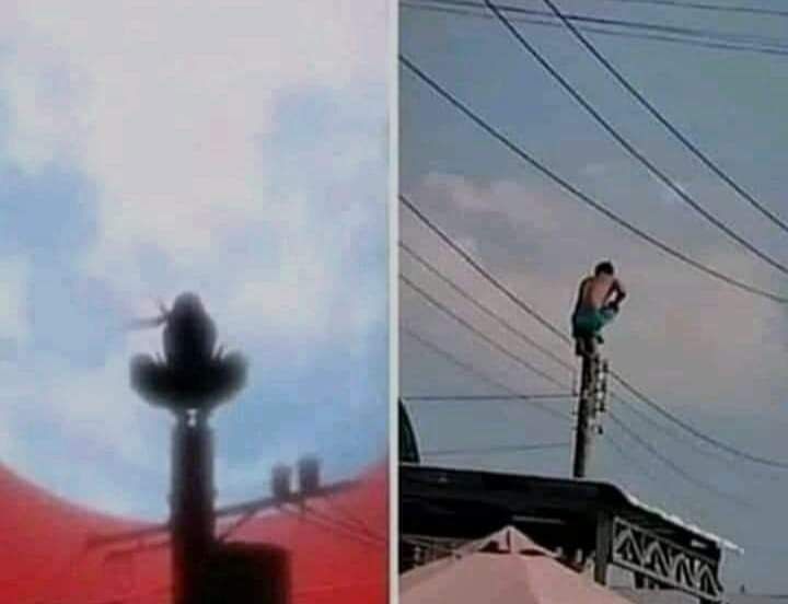 The path of the ninja is a solitary one