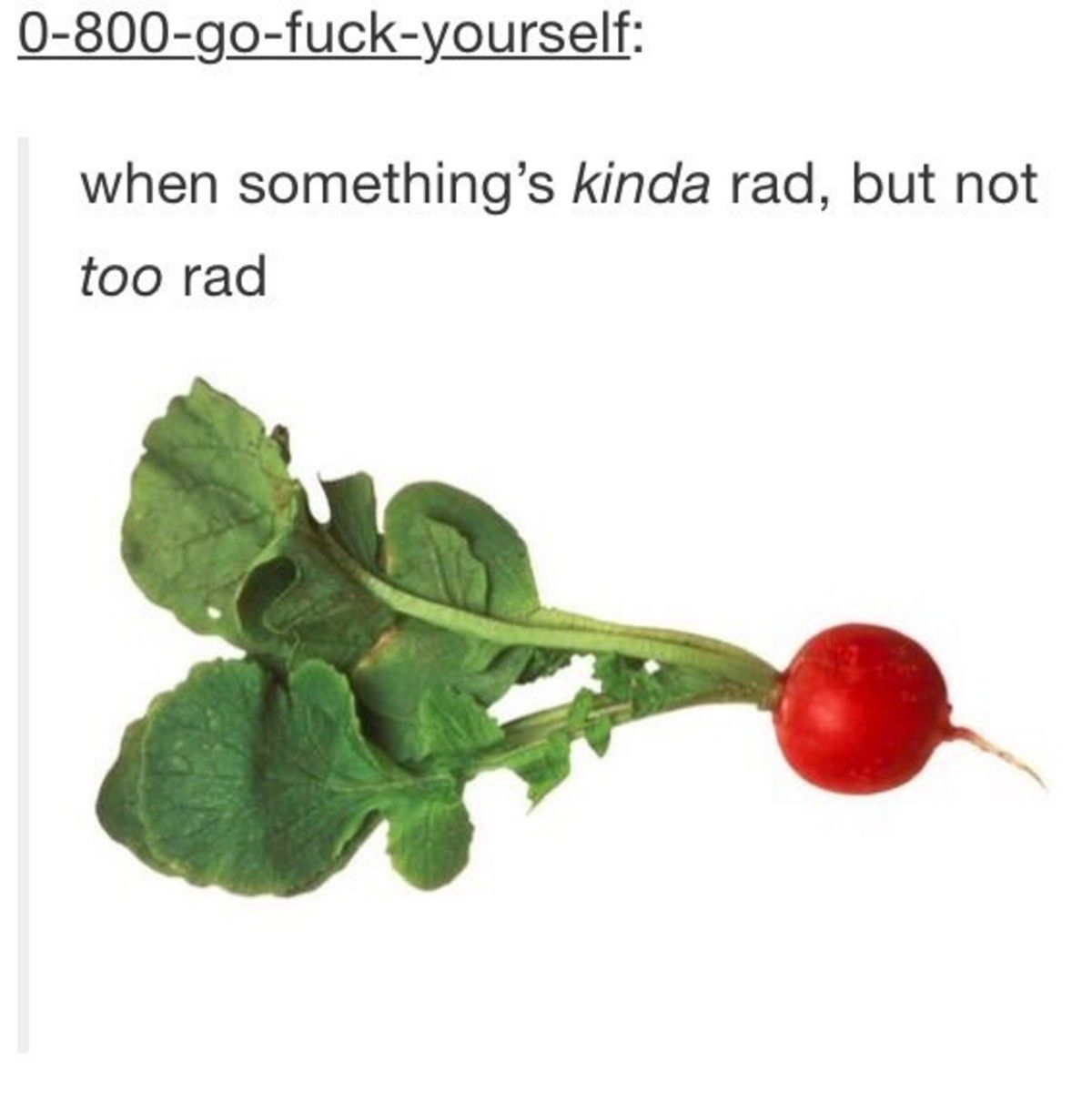 Rad
