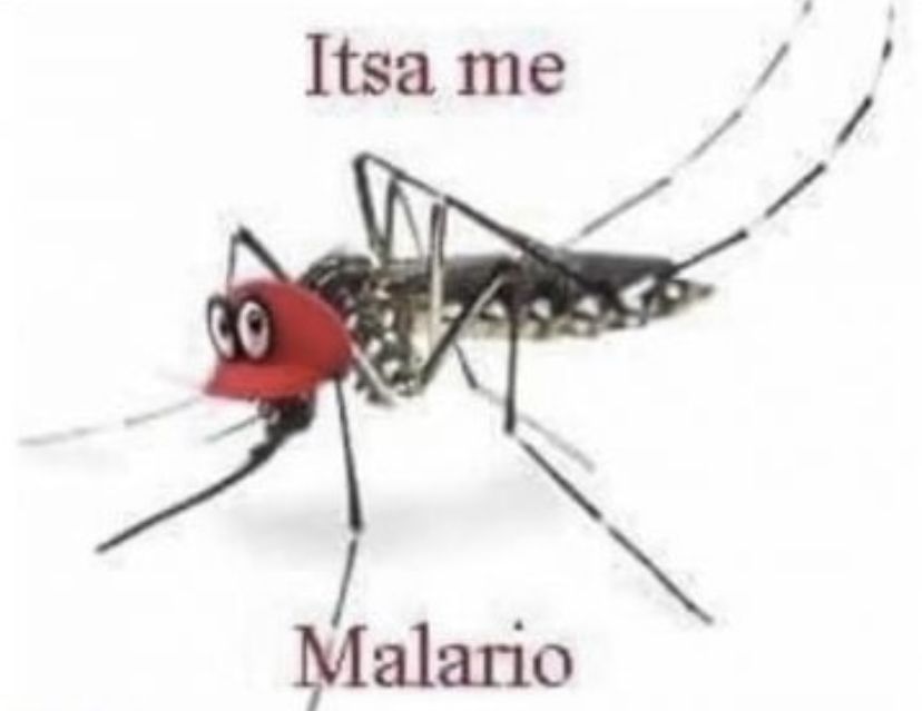 titolo