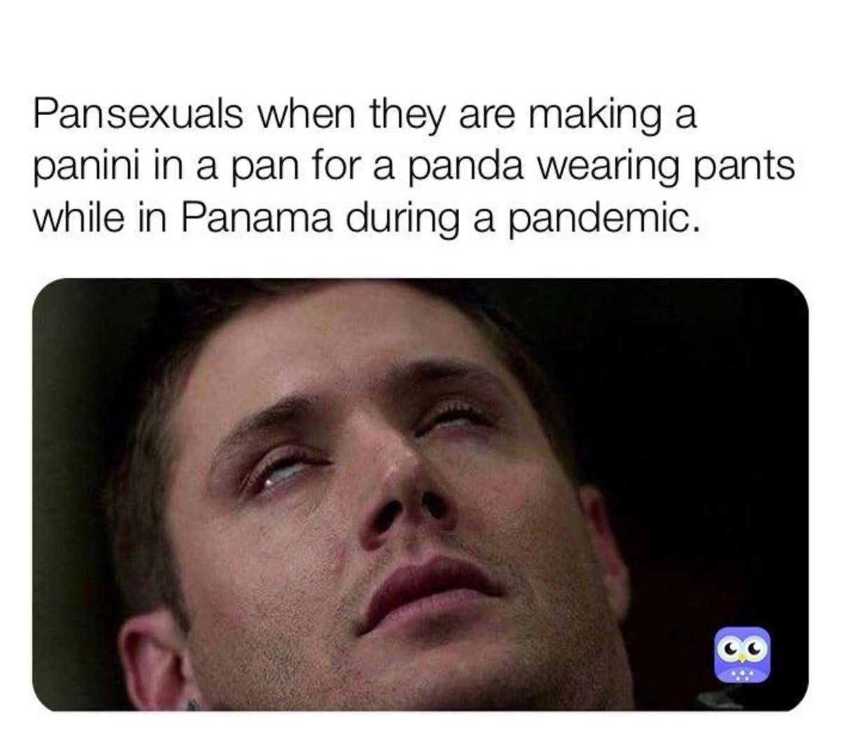 I'm gonna PAN