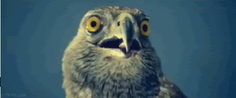 Standard facial expression when looking at old pictures of you