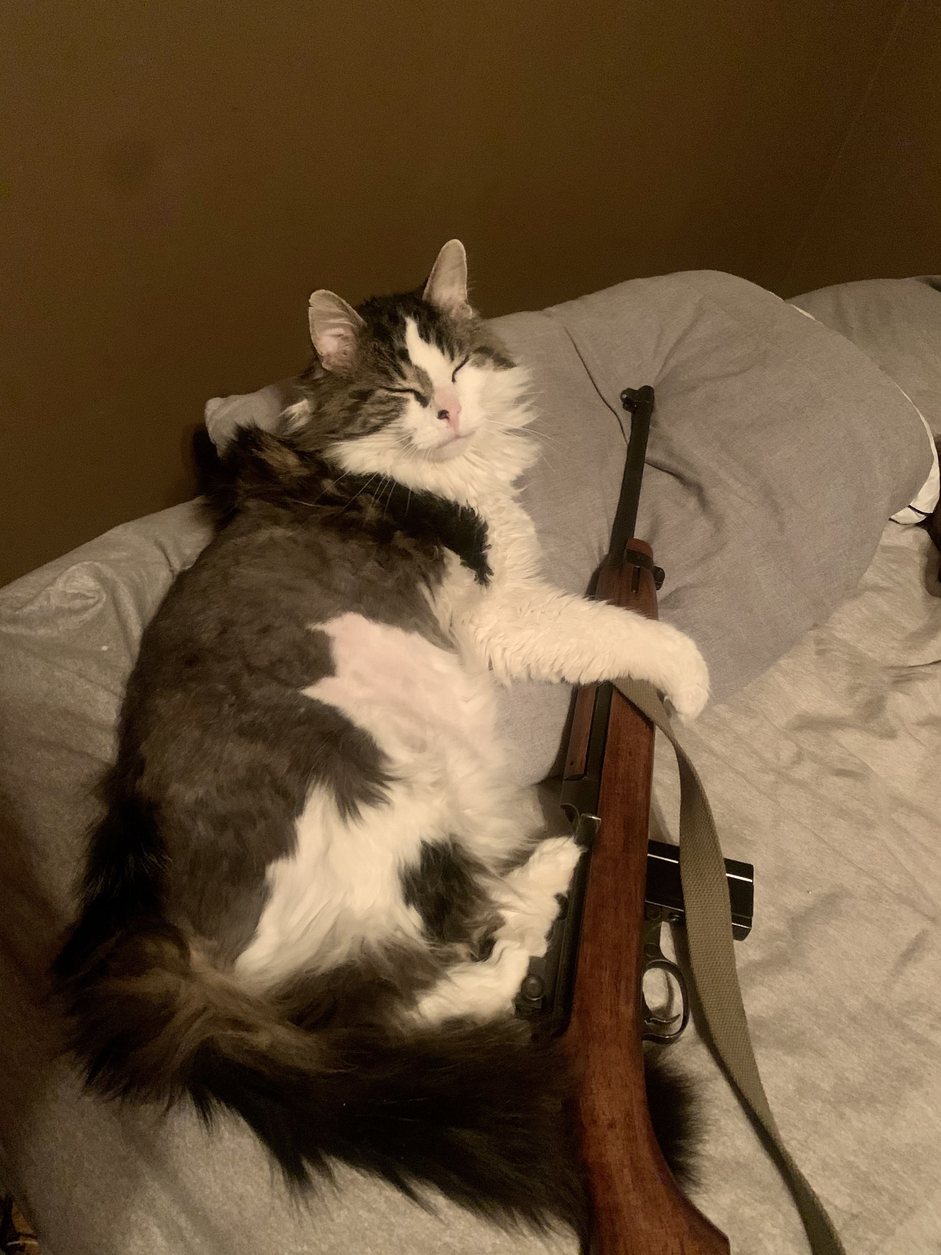 dudder about to commit war crimes